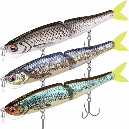 Best Bass Lures for Fall: Top Picks to Boost Your Catch Rates