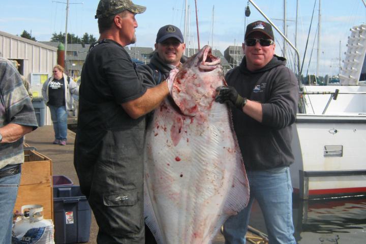 Fishing in Yaquina Bay, Oregon: Best Charters for Salmon, Tuna & Halibut