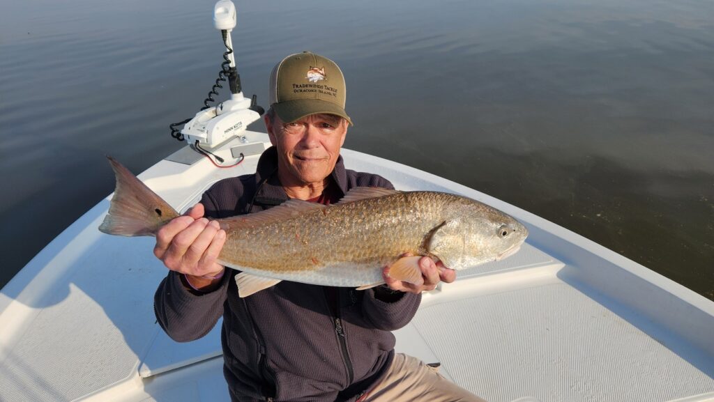 pawleys island fishing report