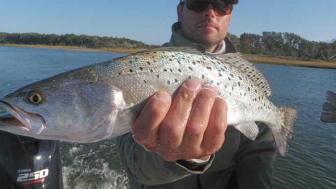 Cape Lookout Fishing Report: Best Locations & Species for November 2024