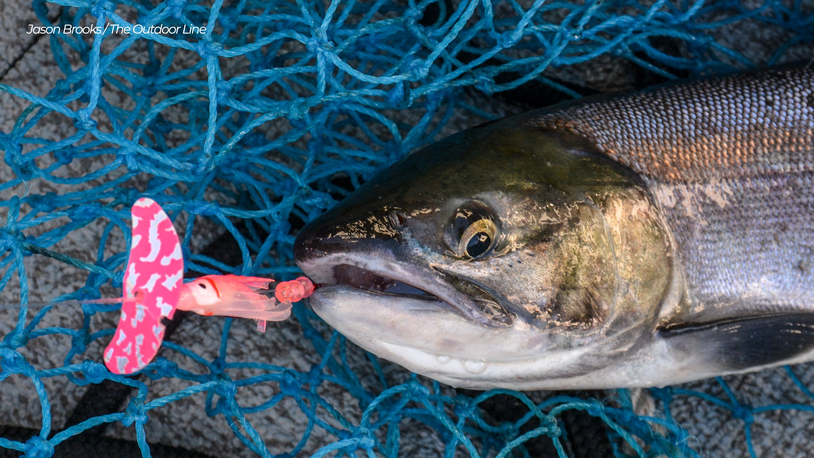 sockeye salmon fishing lures