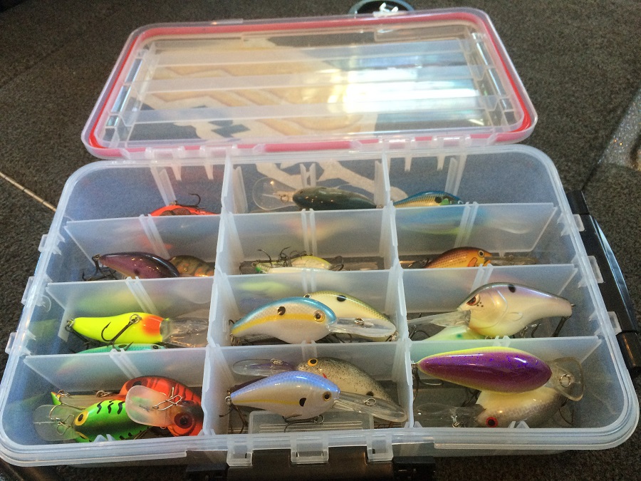 How to Properly Organize a Tackle Box for Better Fishing Results