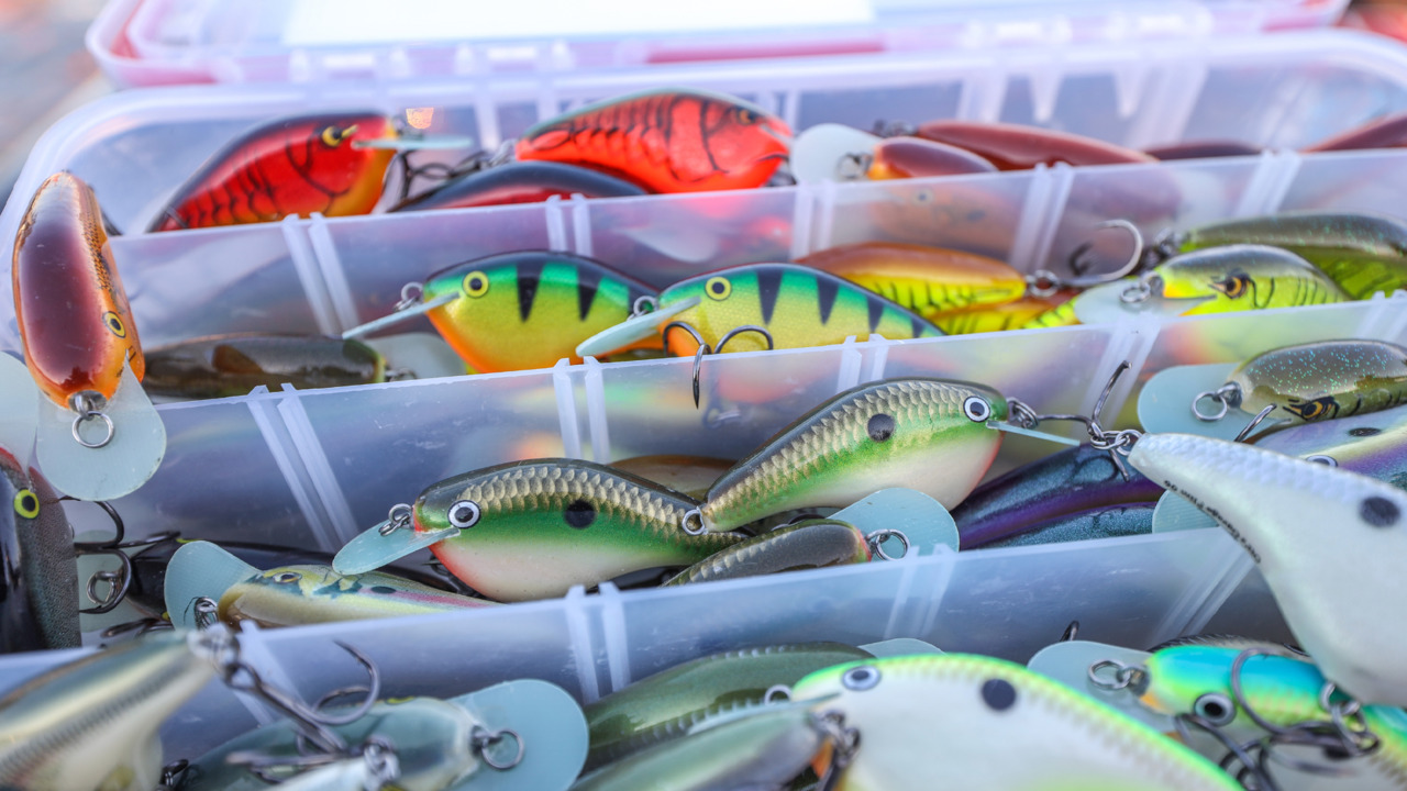 Top-Rated Crankbait Colors for Bass Fishing Success