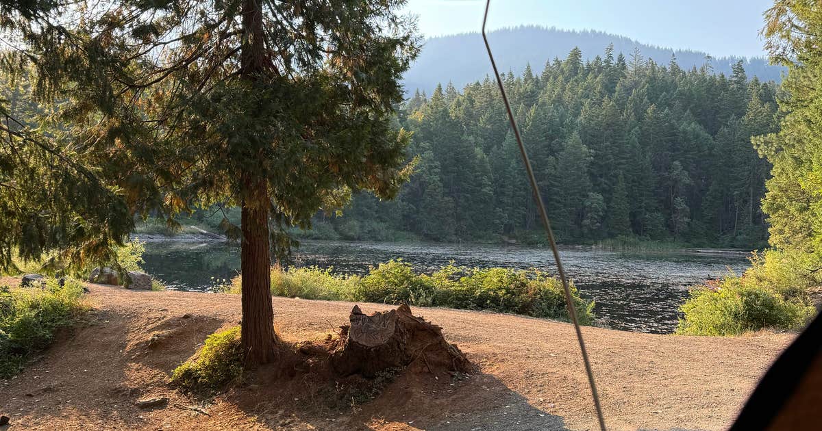 Explore Free Camping at Burma Pond BLM Near Wolf Creek, Oregon