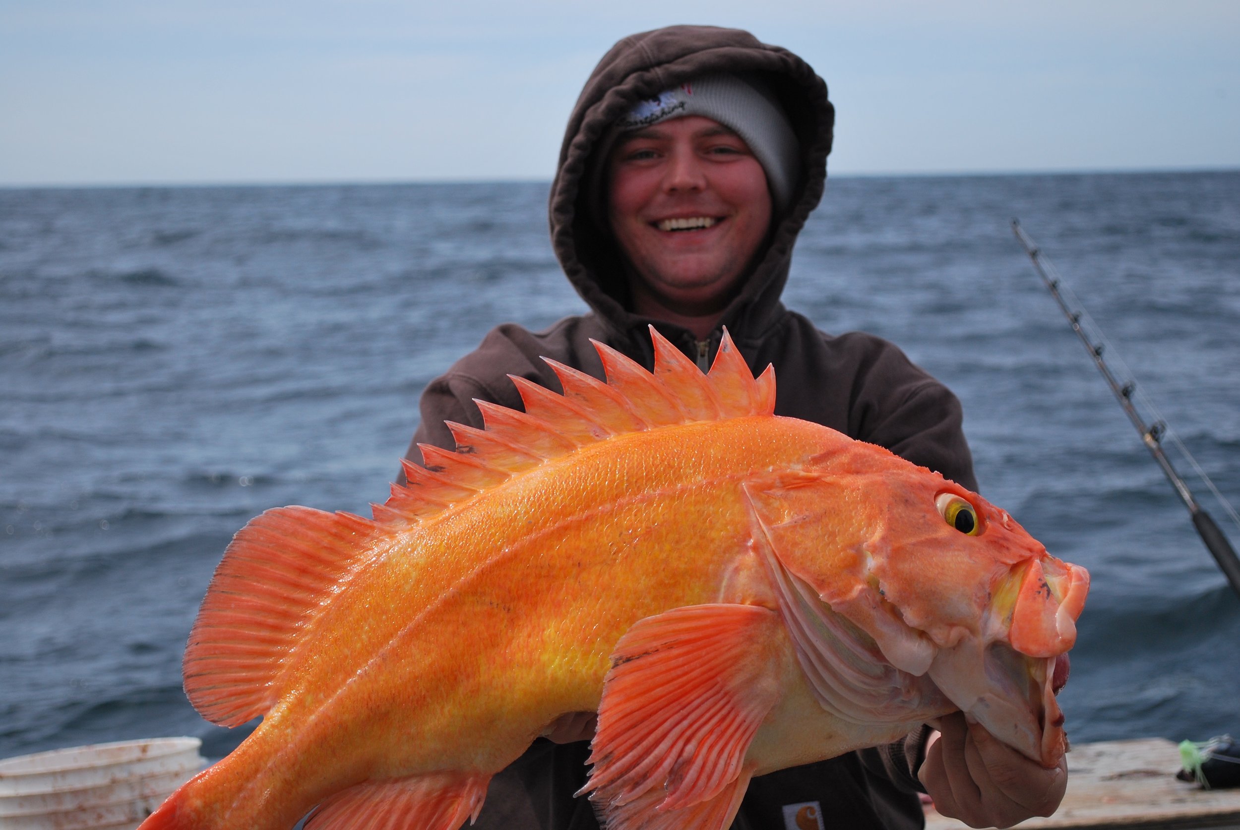 Top Fishing Techniques for Beginners: Tips to Catch More Fish