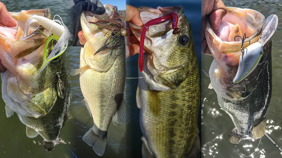 How to Choose the Right Stick Baits for Bass: A Complete Guide