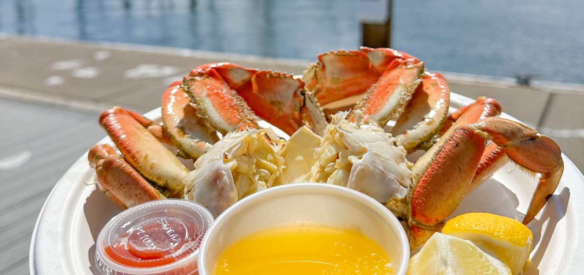 Florence Crabbing Guide: Best Spots and Tips for a Successful Catch