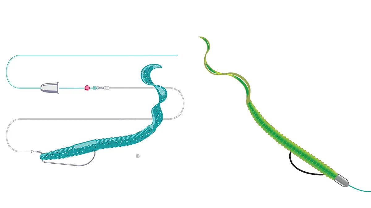 Top Bass Worm Rig Techniques: Texas vs. Carolina Rig Comparison