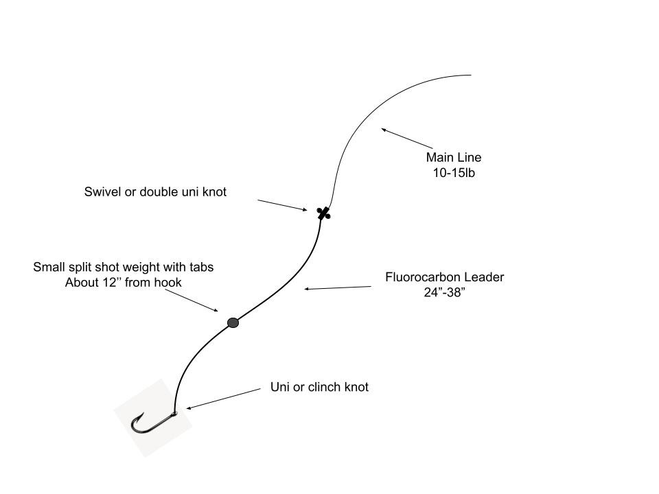 splitshot rig