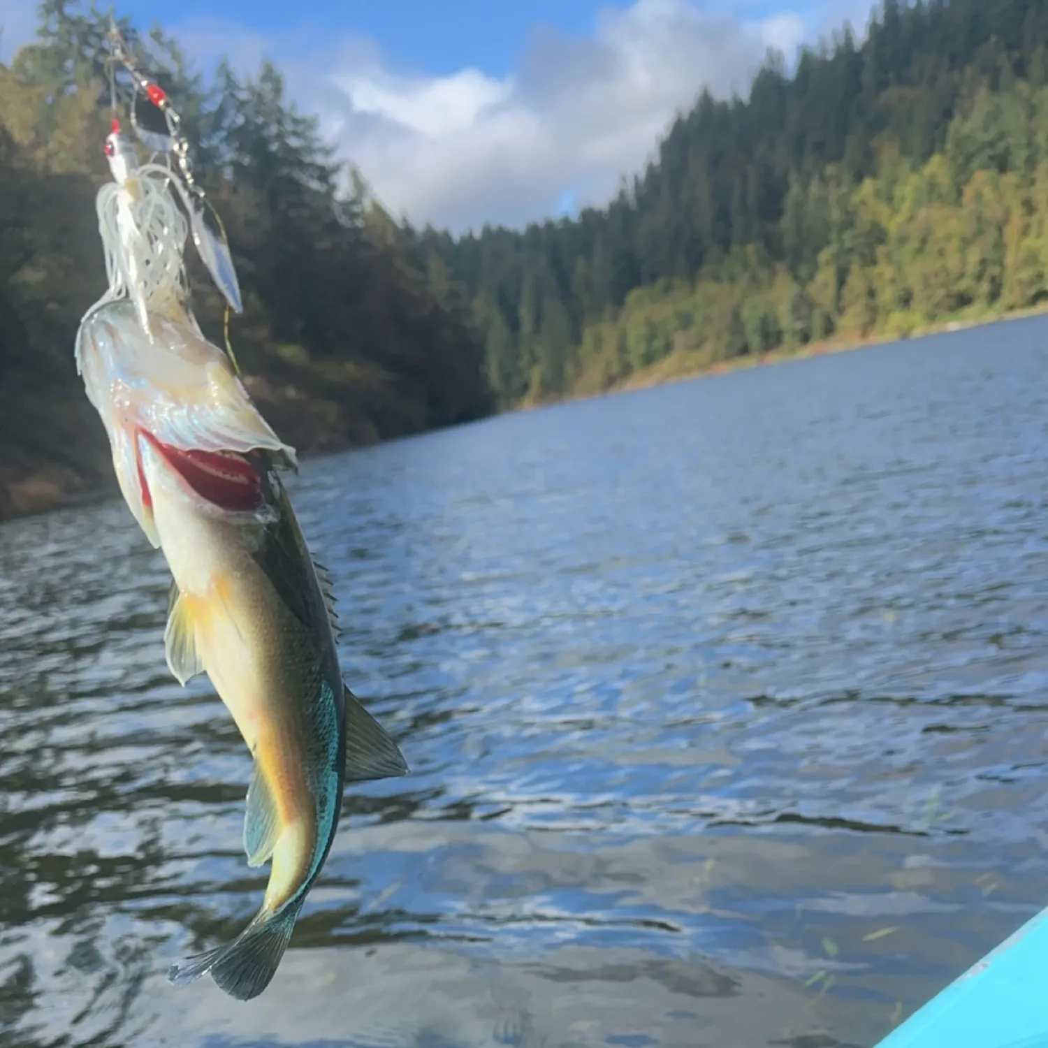 Silver Creek Reservoir Fishing: Top Spots & Techniques for Oregon Anglers