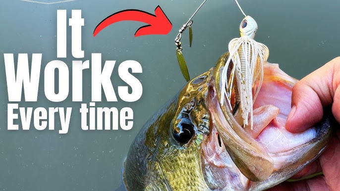 How to Catch Bass After Rain: Top Strategies and Lures