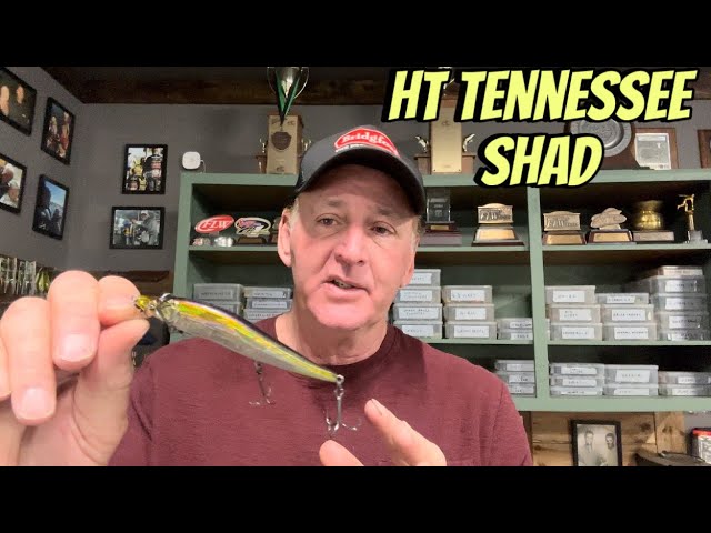 How to Choose the Perfect Tennessee Shad Color for Your Lake