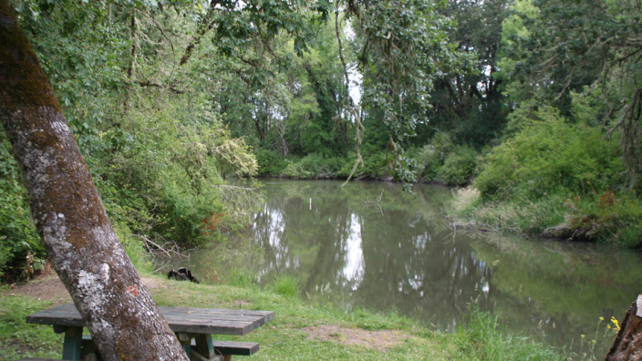 Coyote Creek Canoe Access: A Hidden Gem for Kayaking and Scenic Adventures