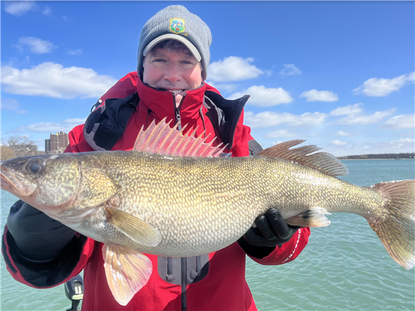 detroit river walleye report