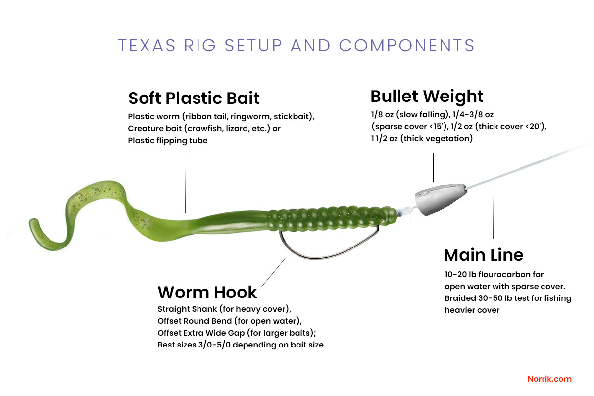 Best Worm Rigs for Bass Fishing: Top Techniques and Tips