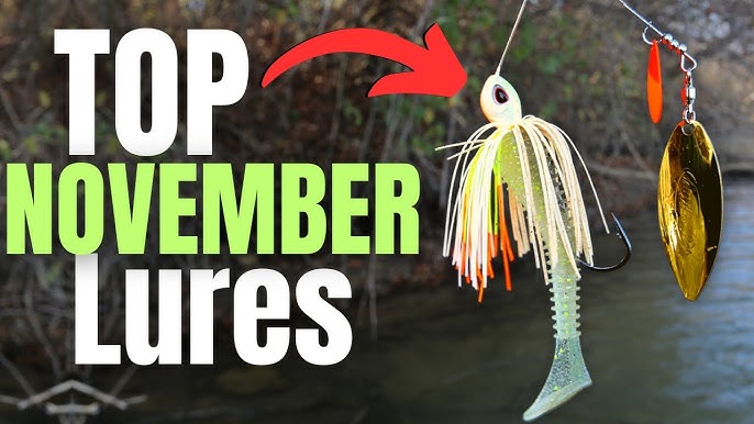 Best Fishing Tips for November: Top Baits and Techniques