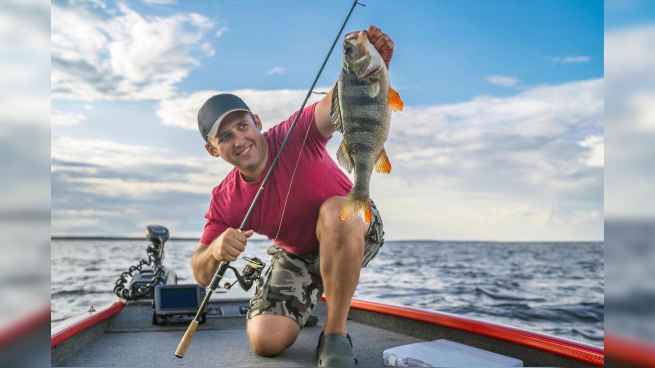 Top Bass Fishing Gear for 2024: Essential Rods, Reels, and Tackle