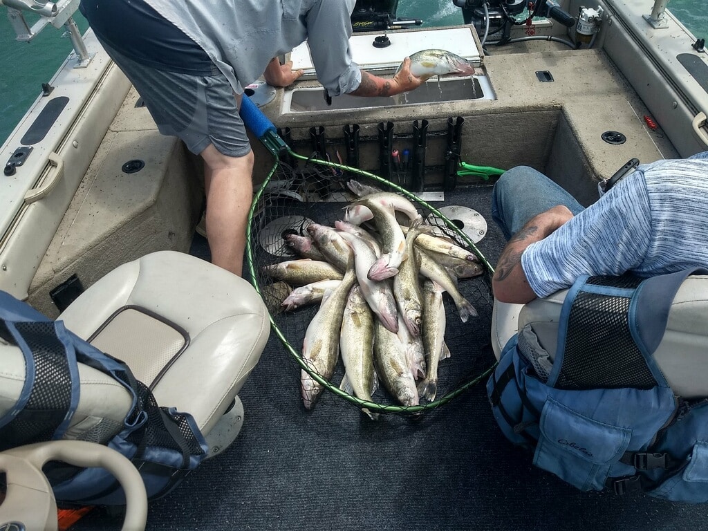 Fishing Report for Port Clinton, Ohio: Best Catches and Tips for 2024