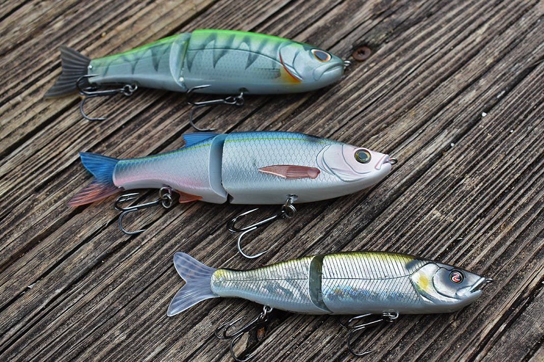 Best Glide Baits for Bass: How to Choose the Right Size and Color