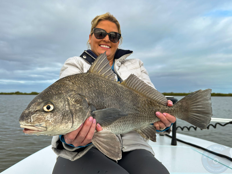 Daytona Beach Fishing Report: Latest Catches & Tips for Anglers