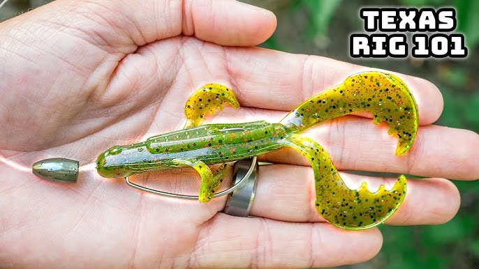 How to Master the Texas Rig Worm for Bass Fishing Success