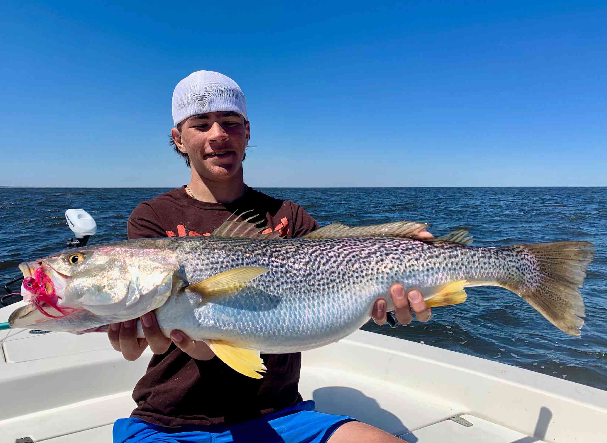 Pawleys Island SC Fishing Report: Whats Biting This Week