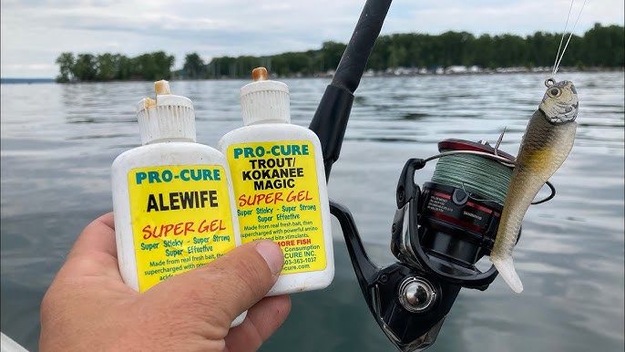 Unlocking the Power of Fishing Lure Scent: Attract More Fish