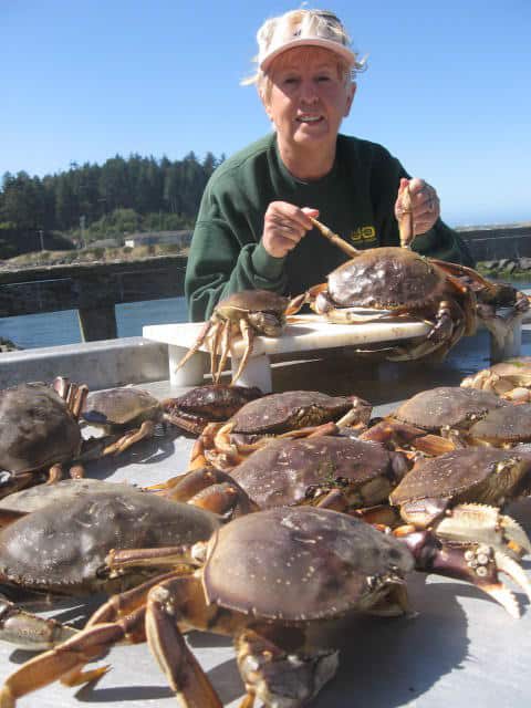 Brookings Oregon Crabbing Guide: Best Spots & Tips for 2024