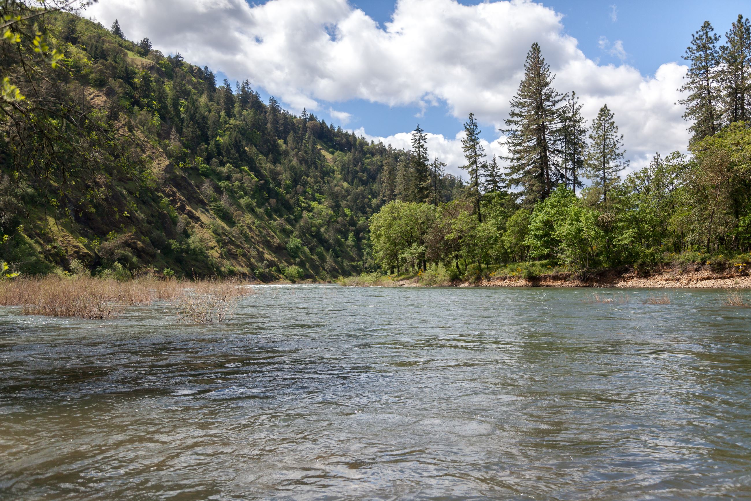 Explore the Beauty of John P. Amacher County Park Campground