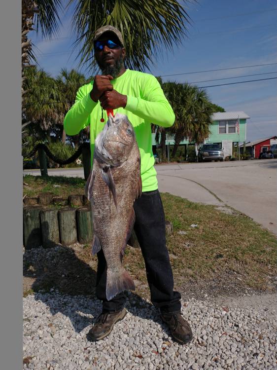 Latest Cedar Key FL Fishing Report: Top Fishing Conditions and Species in November