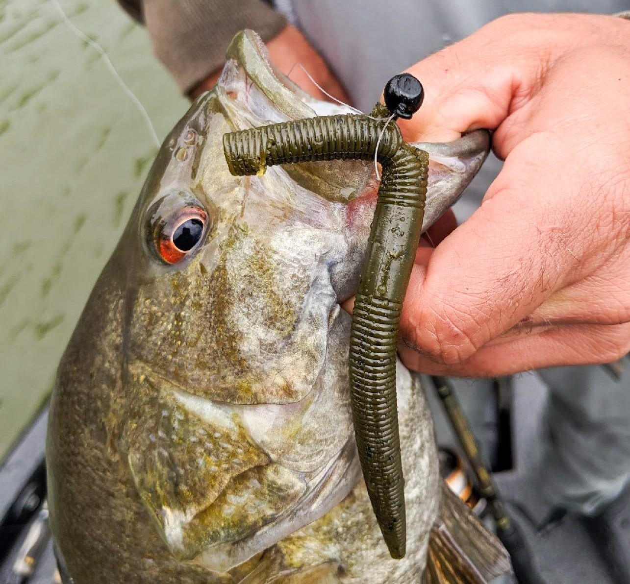 Jig Head with Worm: The Ultimate Bass Fishing Technique for Success