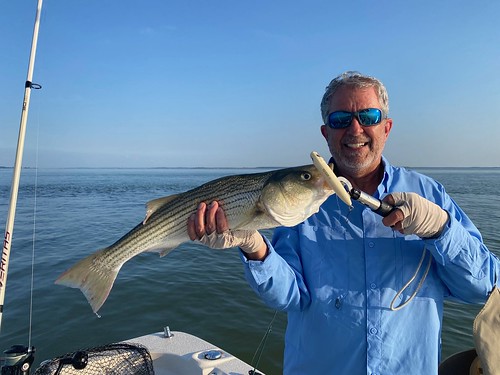 September 2024 Potomac River Fishing Report: Best Bites for Bass, Walleye & More