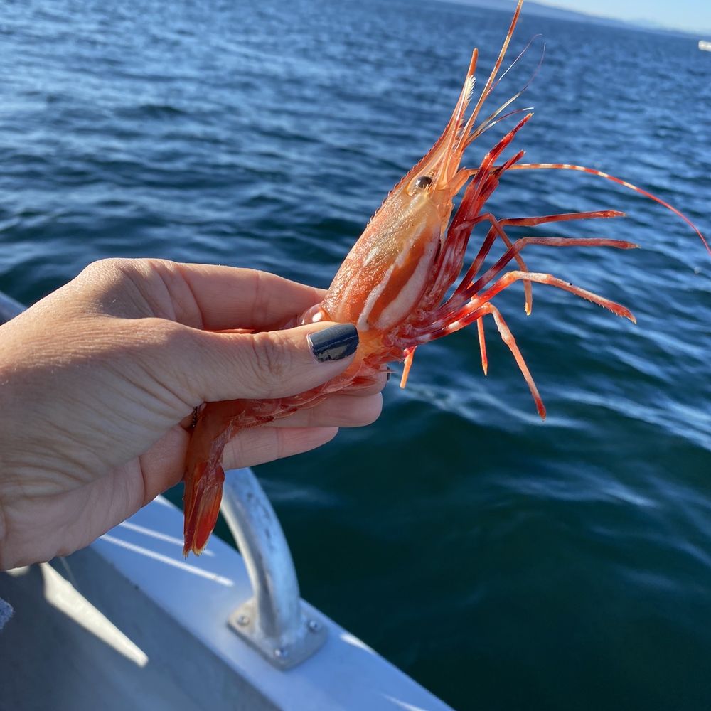 Top Crabbing Charters and Locations in Anacortes, WA for 2024