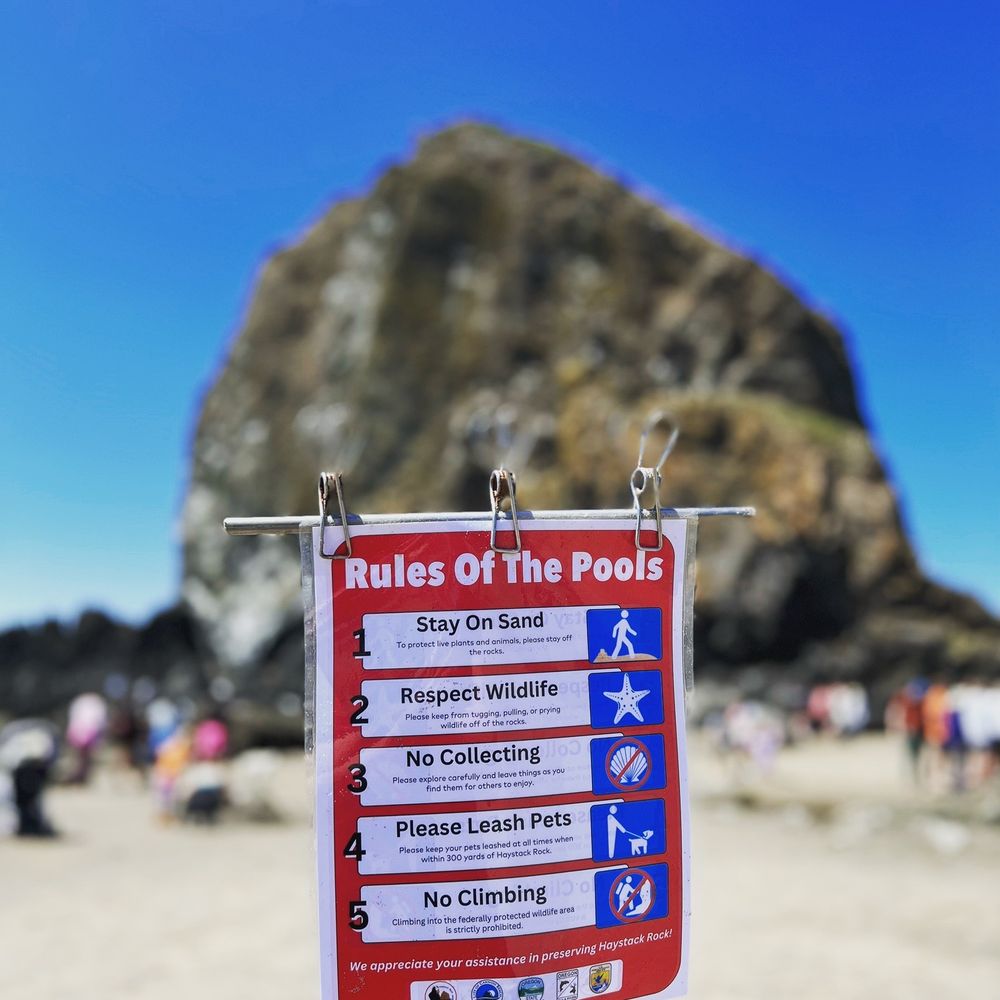 Top Crabbing Locations Around Cannon Beach: Where to Go in 2024