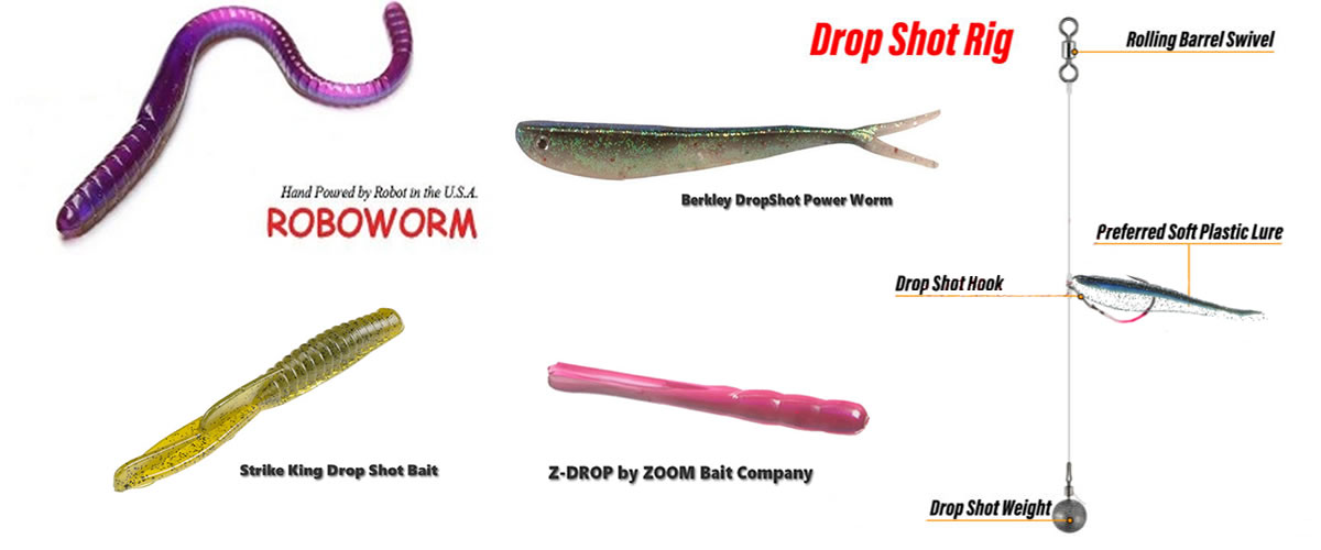 How to Choose the Perfect Drop Shot Lures for Every Fishing Trip