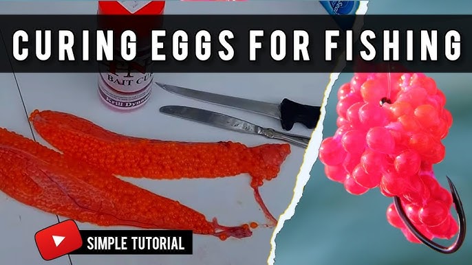 How to Cure Salmon Eggs for Fishing: A Step-by-Step Guide