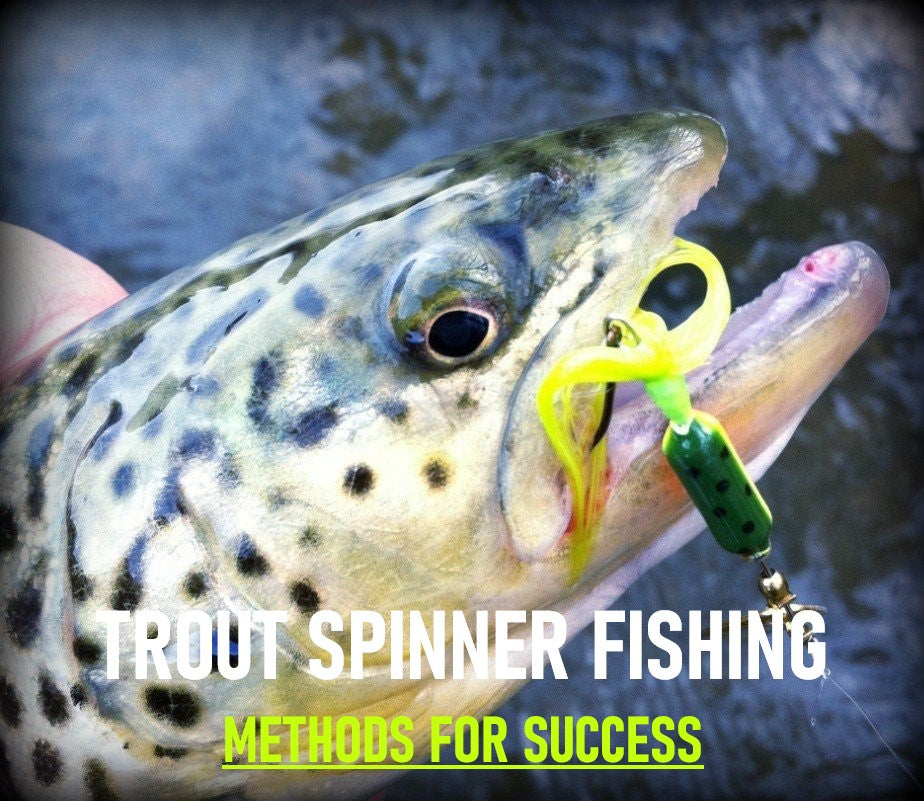 How to Choose the Best Spinning Trout Lures for Every Fishing Condition