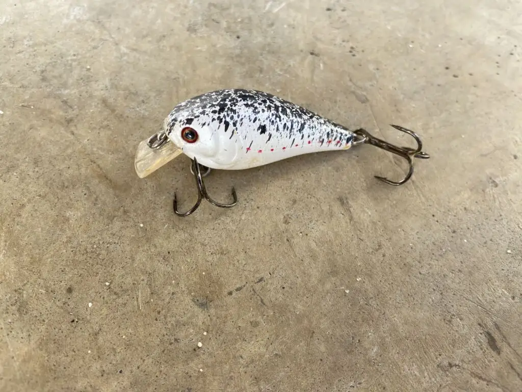 The Ultimate Guide to the Best Crankbait for Bass: Reviews & Tips