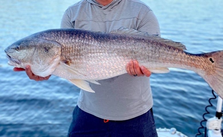 Matanzas Inlet Fishing Guide: Redfish, Snook, and More in Latest Report