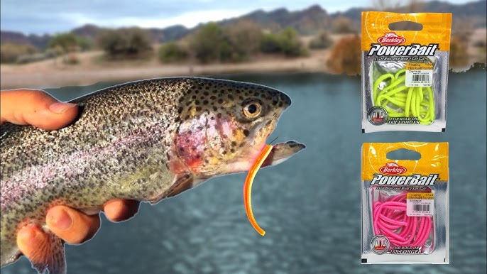 Discover the Power of Berkley Power Worms for Year-Round Fishing Success