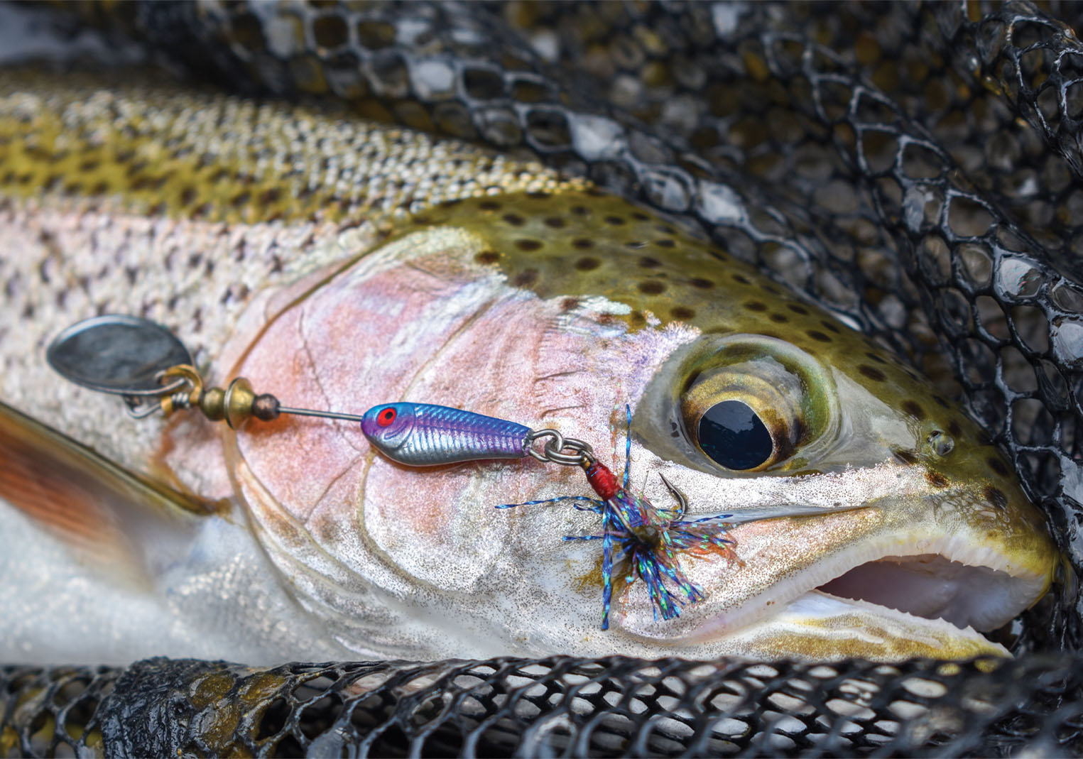 How to Choose the Best Spinning Trout Lures for Every Fishing Condition