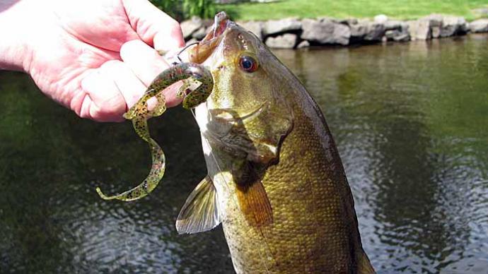 Bass Fishing in Early Fall: Tips for Success During the Transition