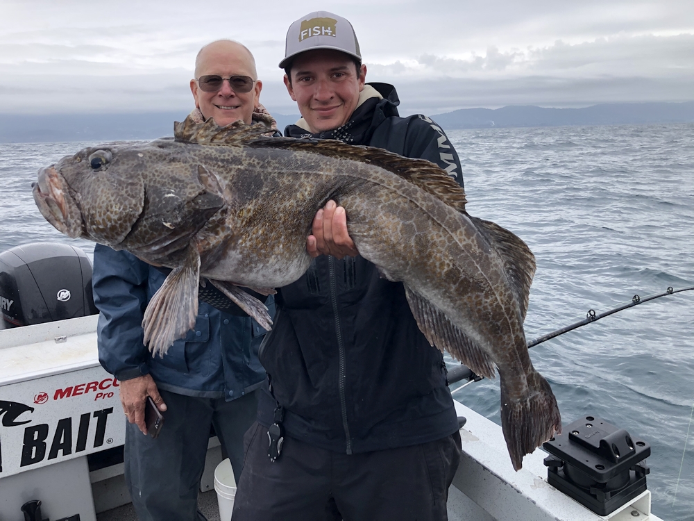 lingcod fishing in oregon