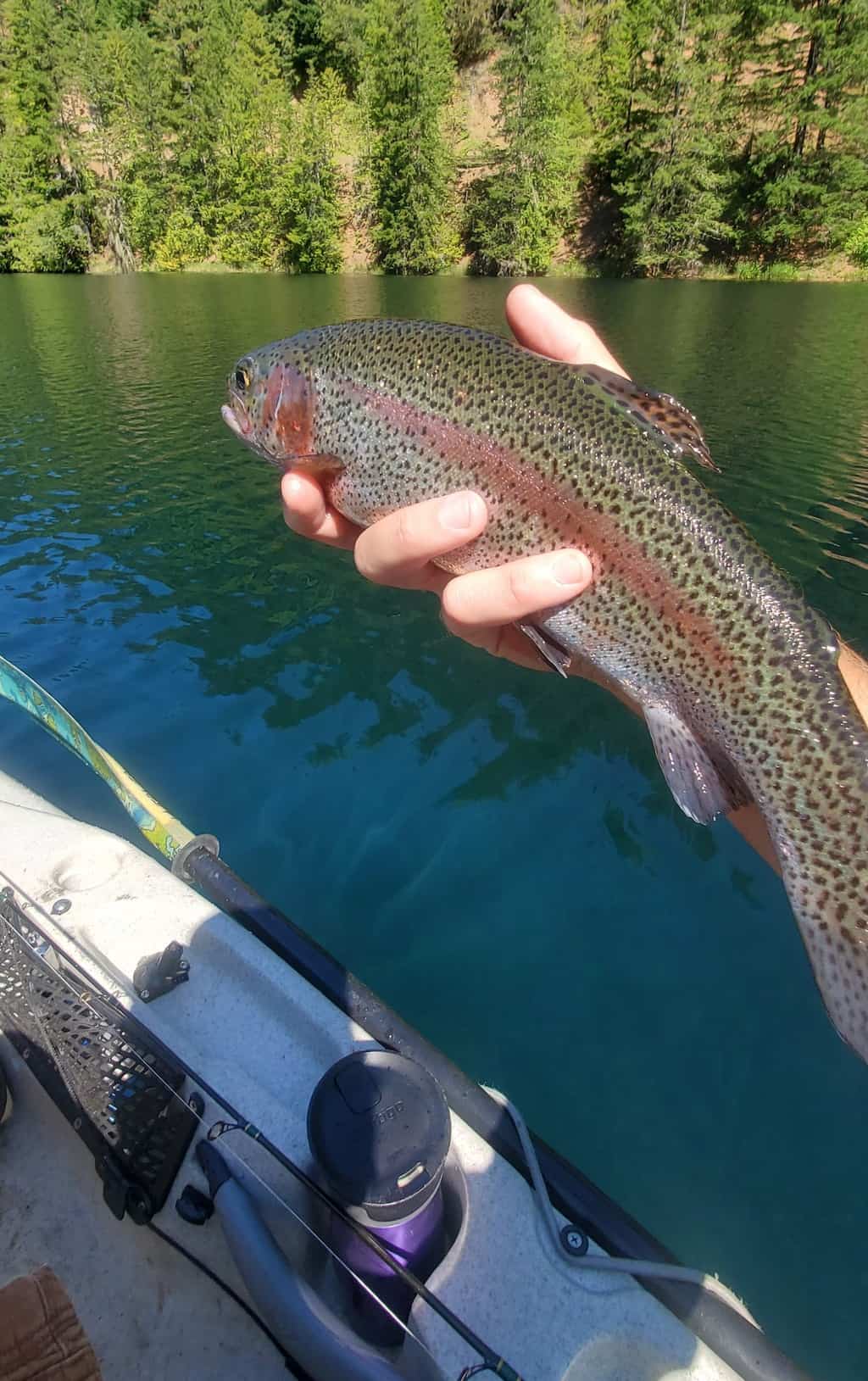 Harriet Lake Oregon Fishing Guide: Best Spots and Tips for Anglers