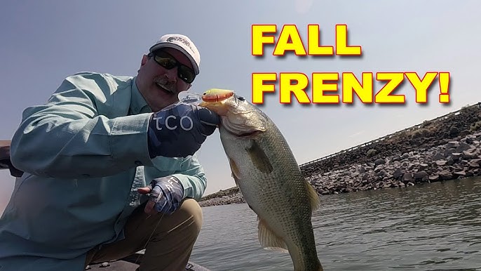 Maximize Your Fall Bass Catch: Proven Lures and Techniques