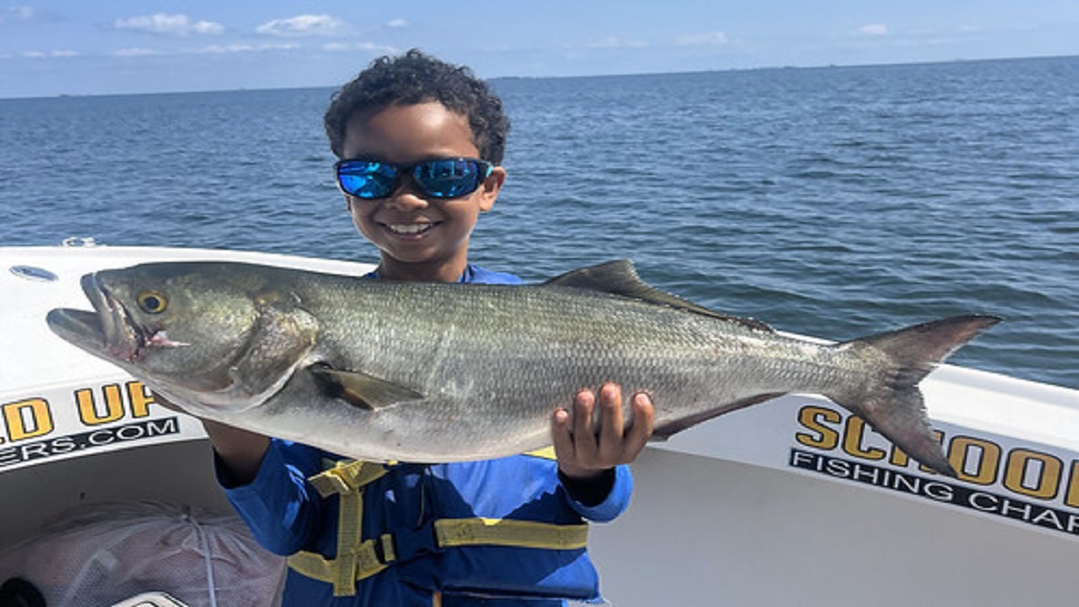 September 2024 Potomac River Fishing Report: Best Bites for Bass, Walleye & More