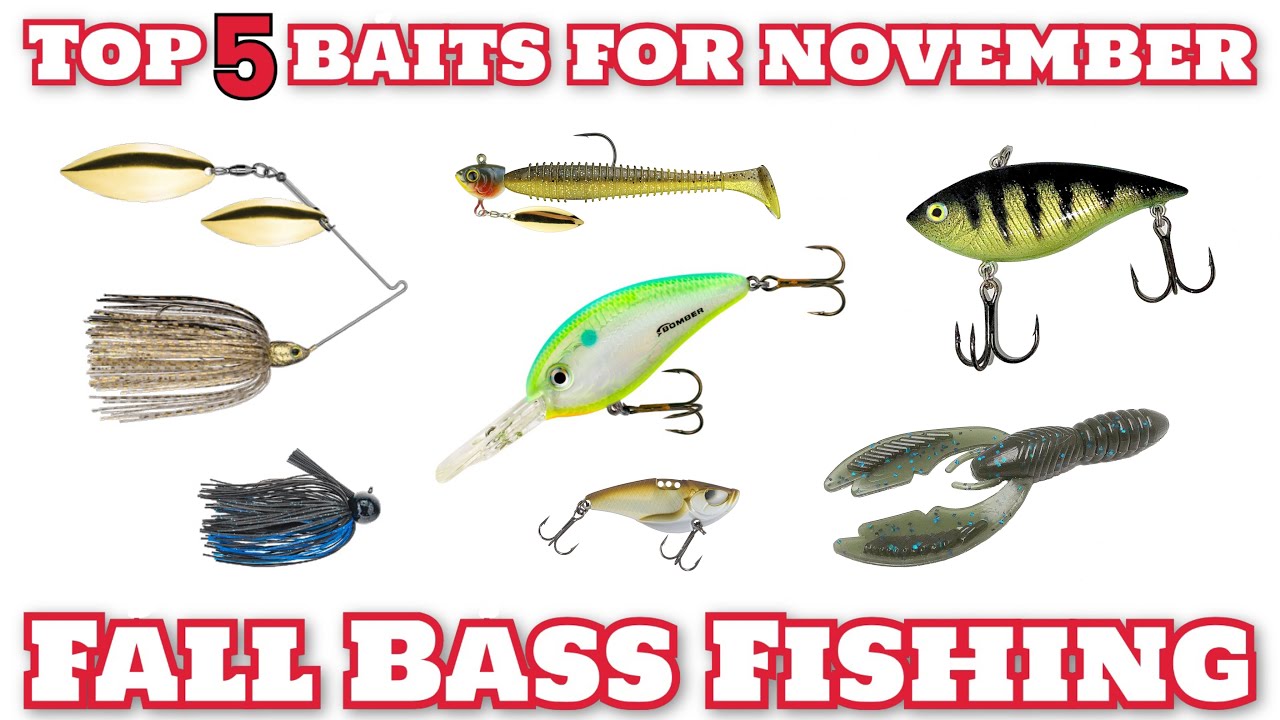 How to Catch Bass in November: Best Strategies for Fall Fishing