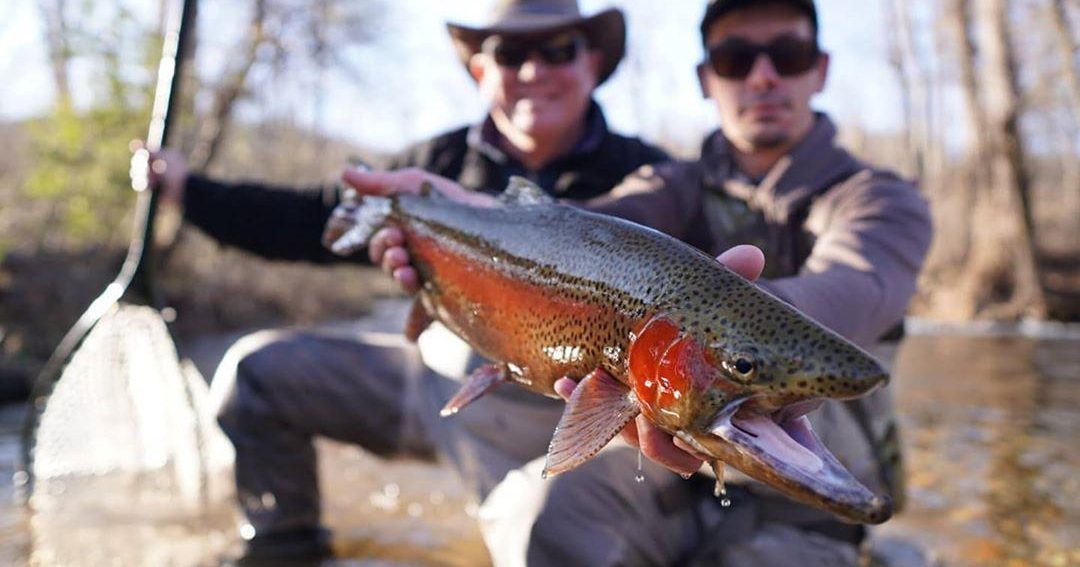 Fightingtown Creek Fishing: Your Ultimate Guide to Trout Angling