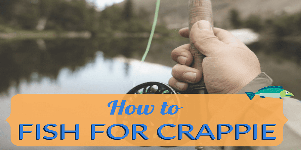 Crappie Fishing with Worms: The Ultimate Guide for Beginners