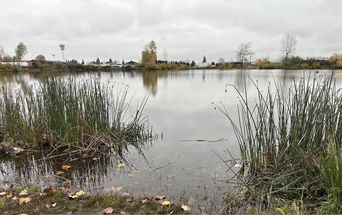 Walling Pond Oregon: A Premier Spot for Fishing in Salem